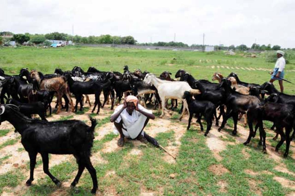 KCR’s I-Day speech a silent confession: Cong