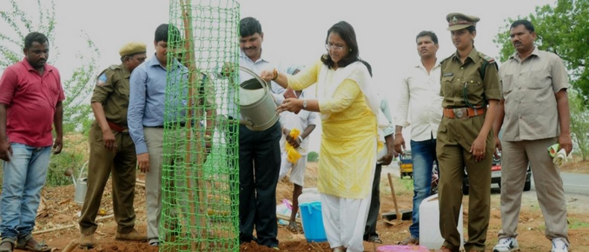 One cr saplings to be planted in Jangaon