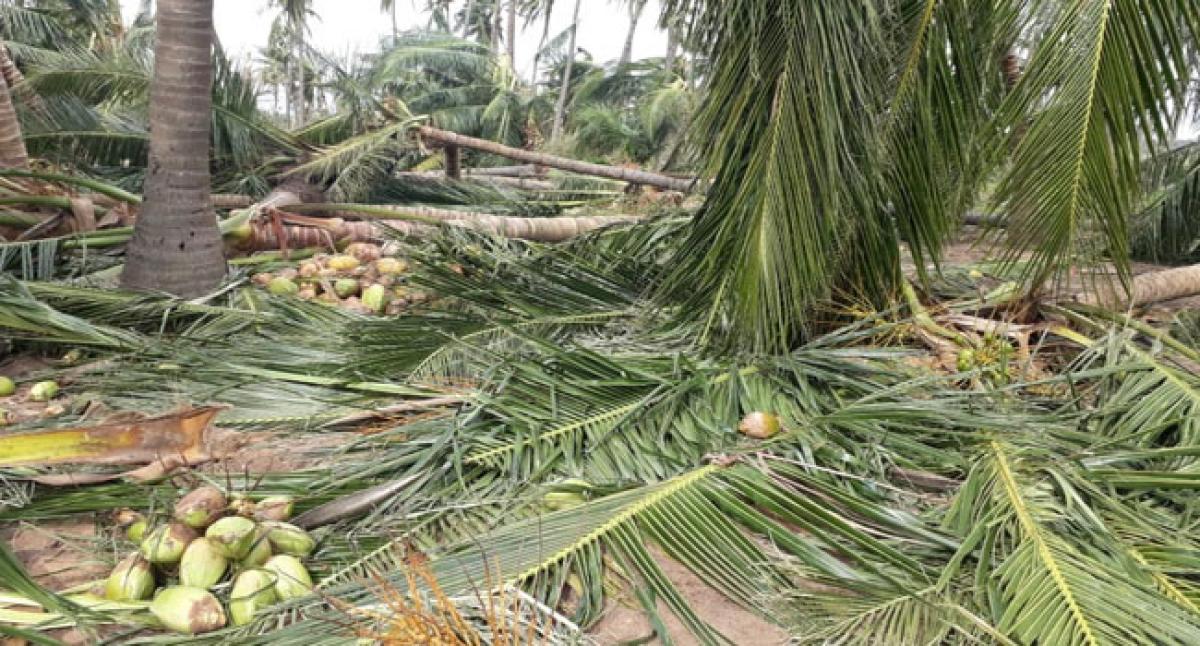 Titli cyclone hits 3.32 lakh farmers