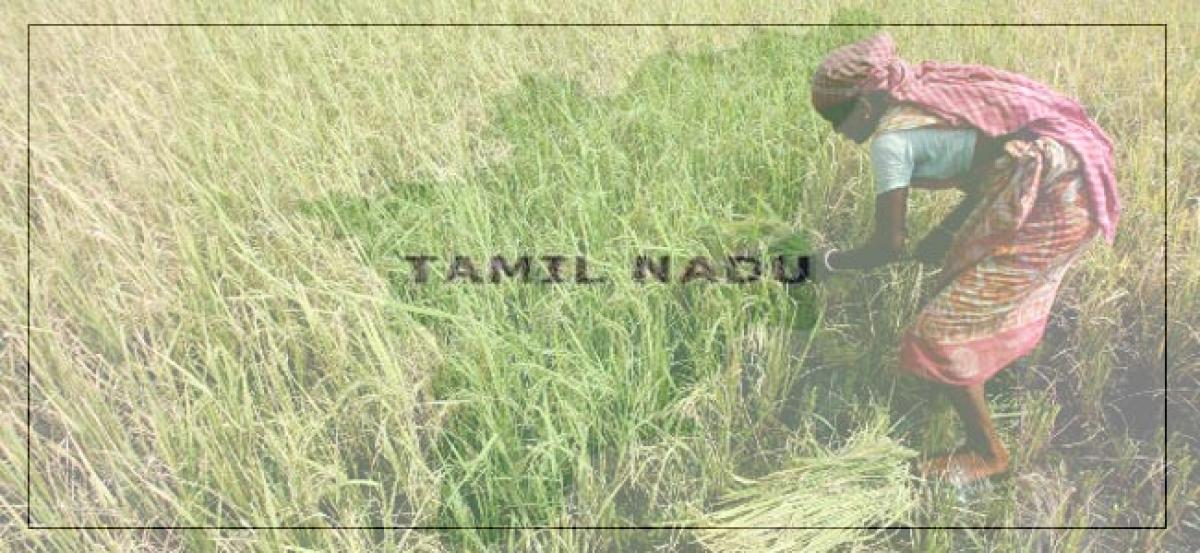 Small farmers borrow money at 60% interest,Tamil Nadu