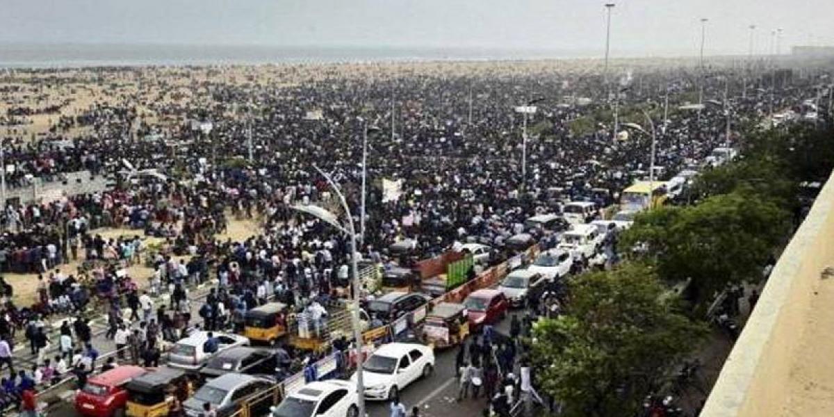 Police evict Jallikattu protesters in Tamil Nadu