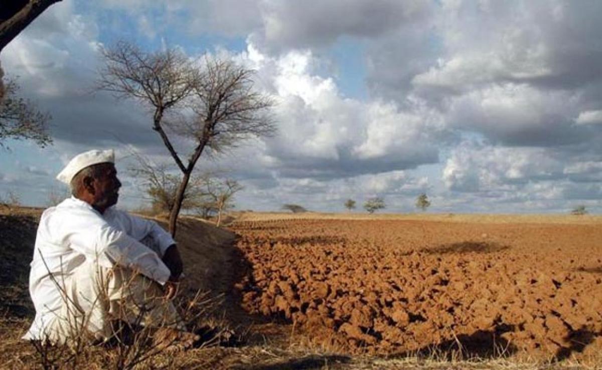 287 Farmers Committed Suicide In Madhya Pradesh In Last 3-Months: Reports