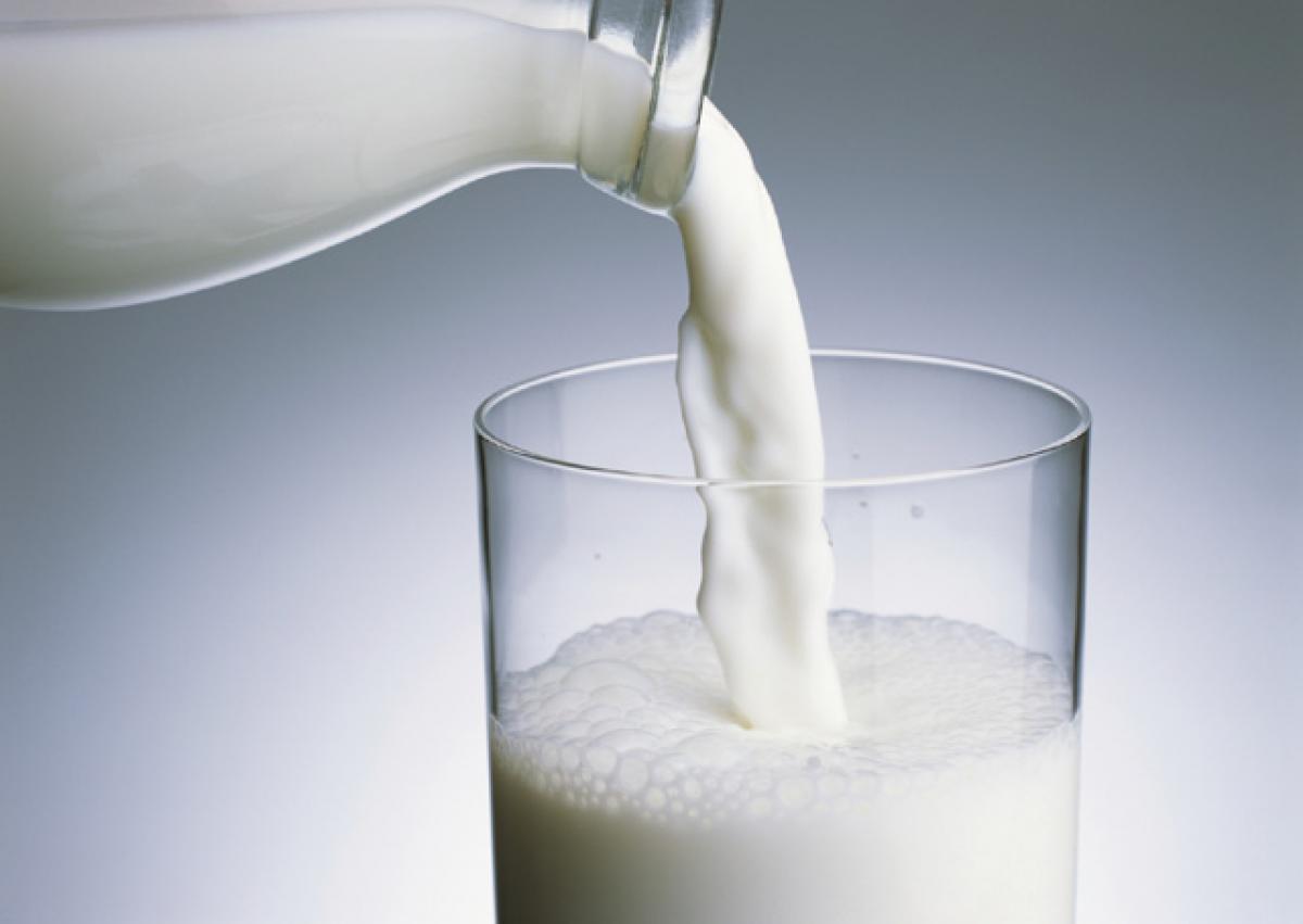 Milk proteins may protect against heart disease