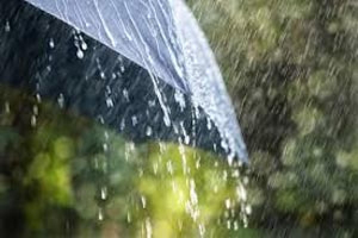 Heavy rain expected from today