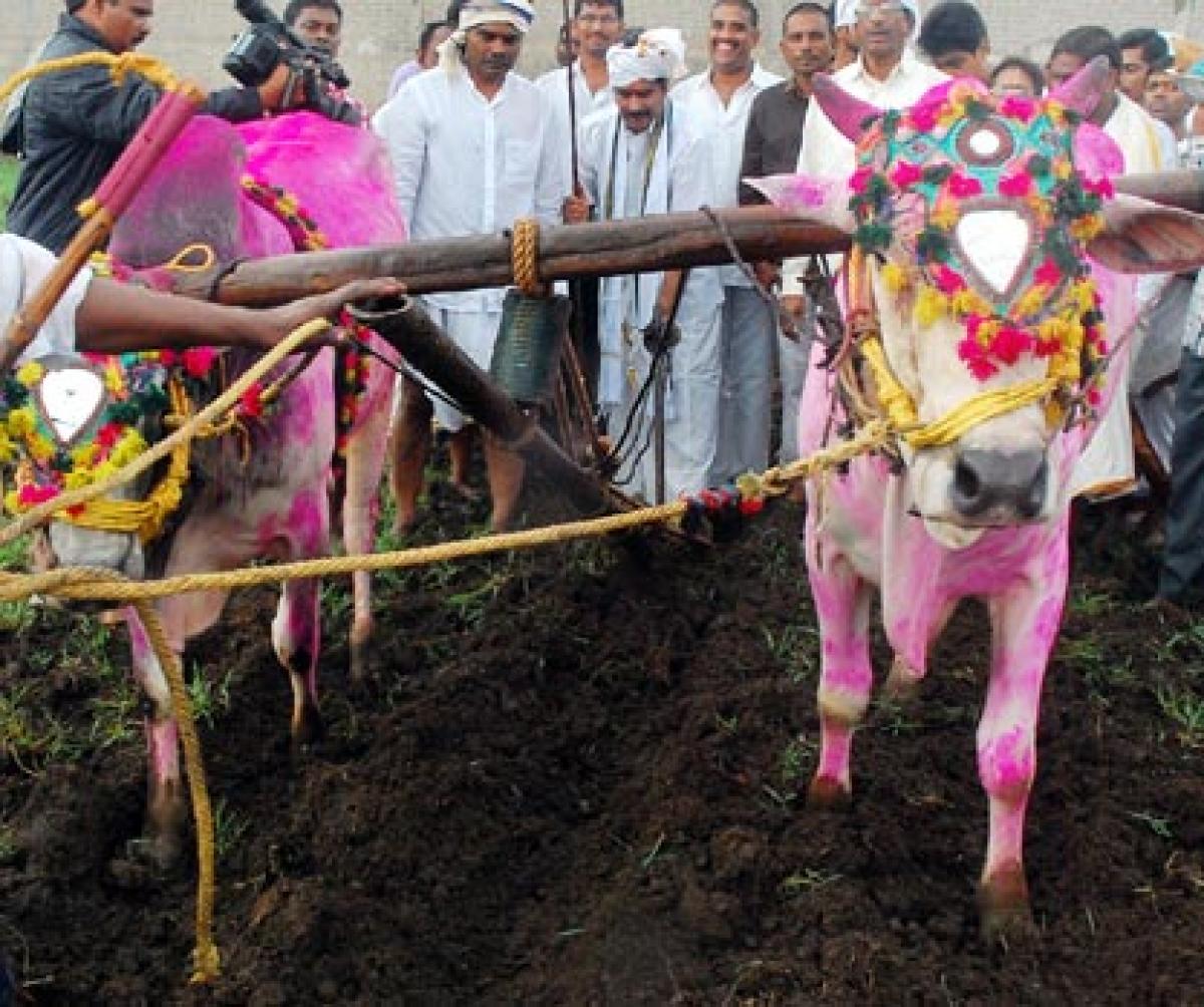 Godavari flood diversion to Krishna by July  Umamaheswara Rao