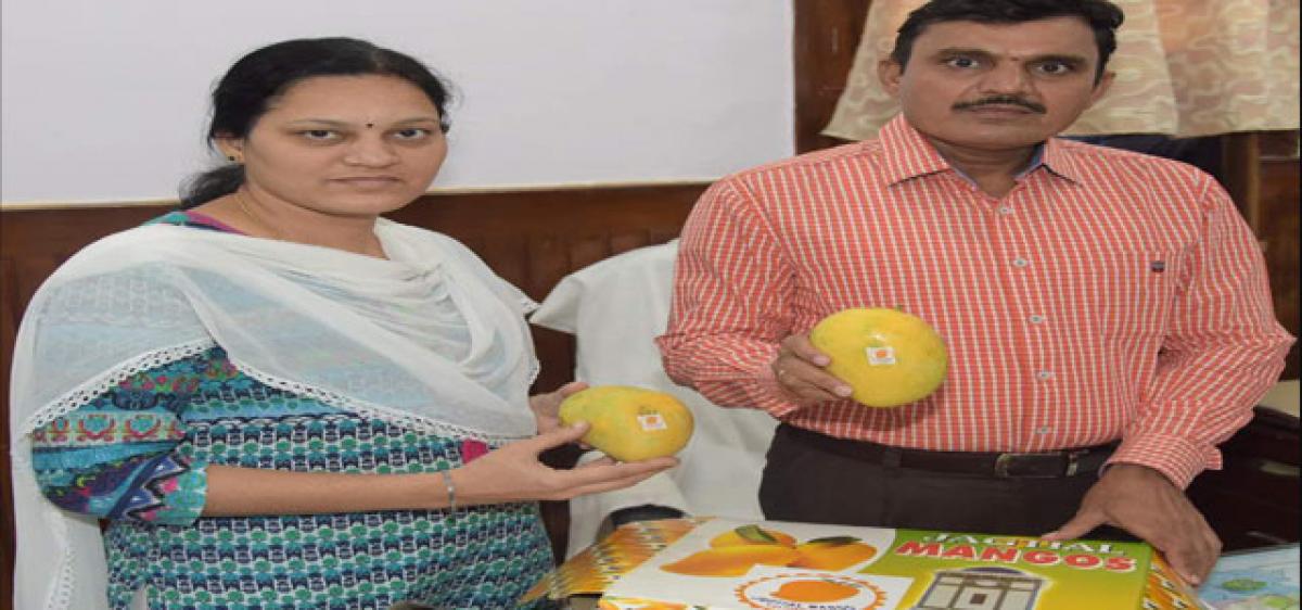 Telangana to promote Jagtial mangoes