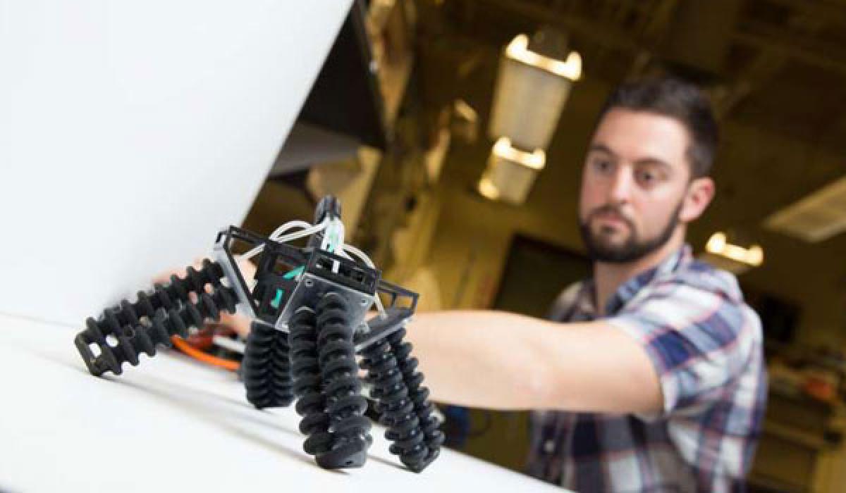 3D-printed soft, four-legged robot can walk on sand