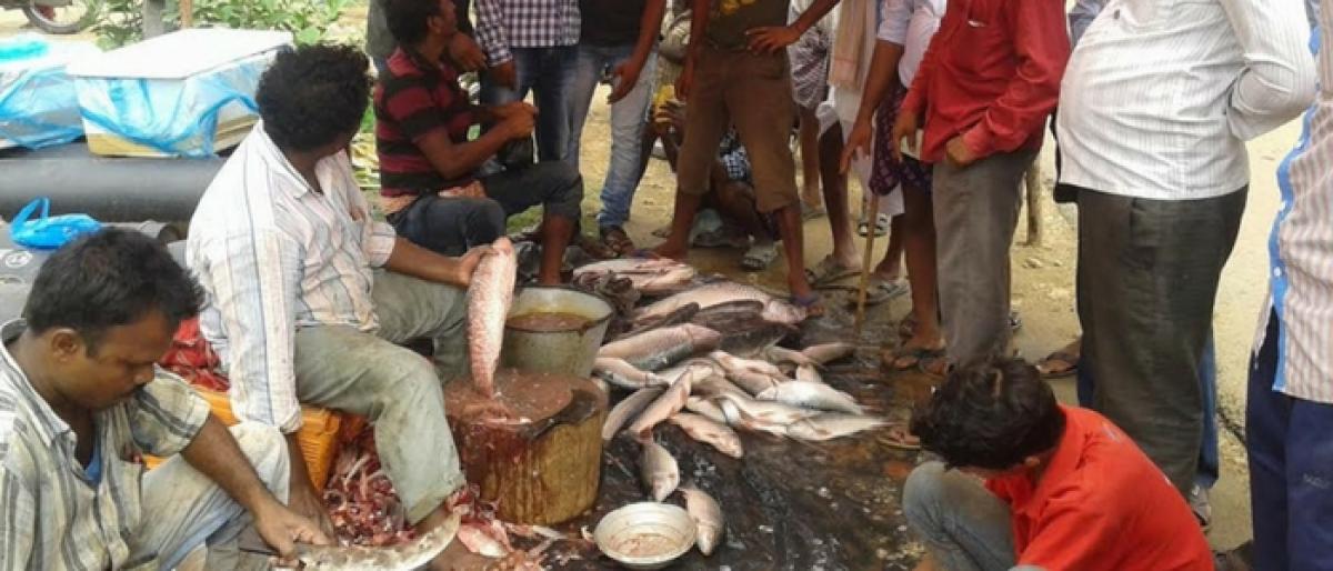 Fish markets see brisk biz