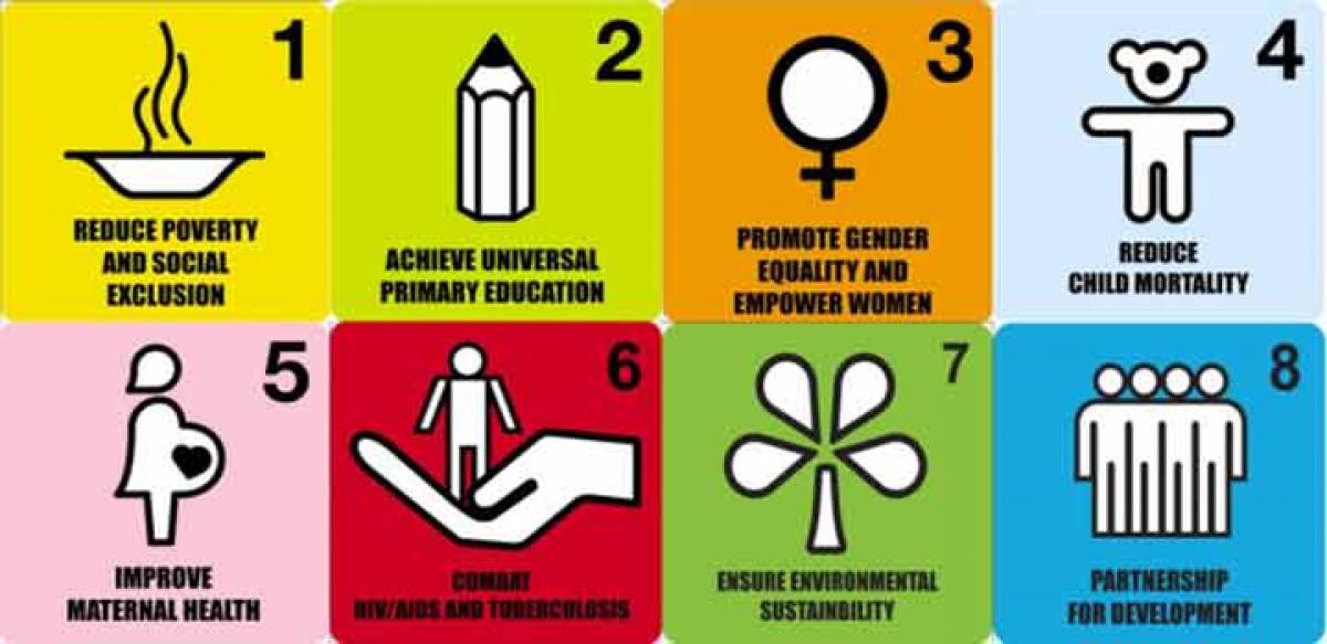 Has India achieved the Millennium Development Goals (MDG)?