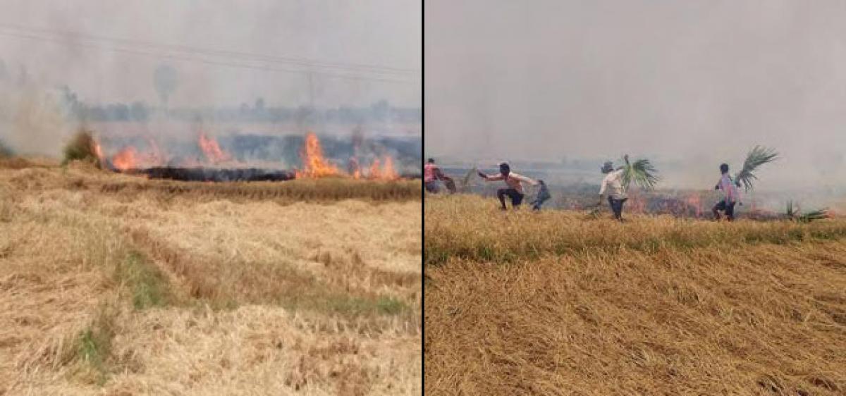 Fire flames rapidly engulfed paddy field in Nalgonda