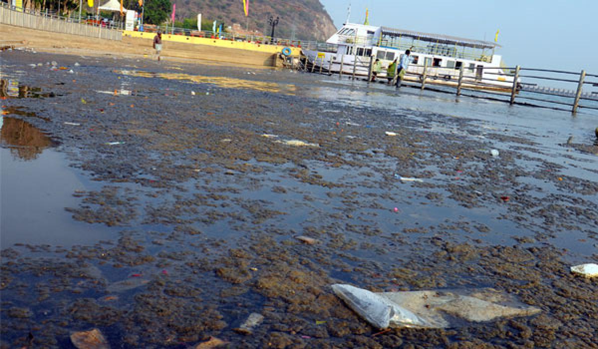 Krishna riverfront stinks, visitors stay away