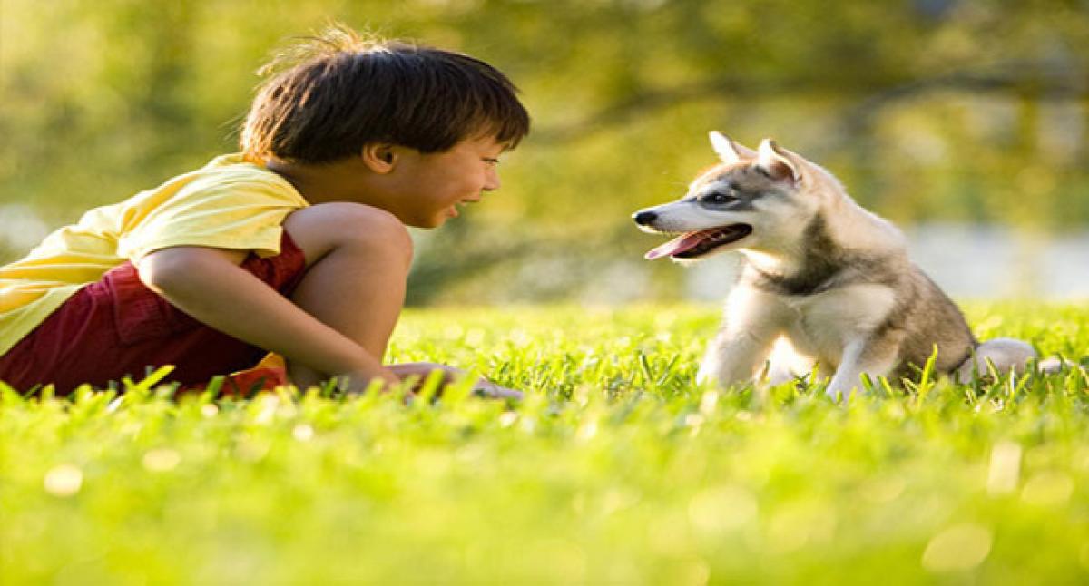Pet dogs may help cut stress in kids: Study