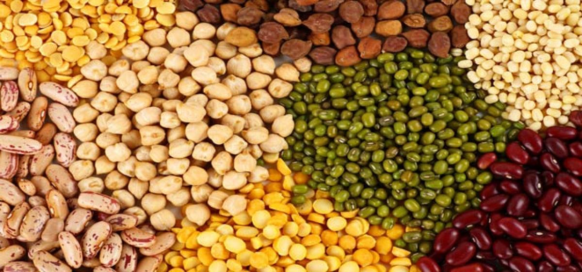 Prices of pulses take a plunge