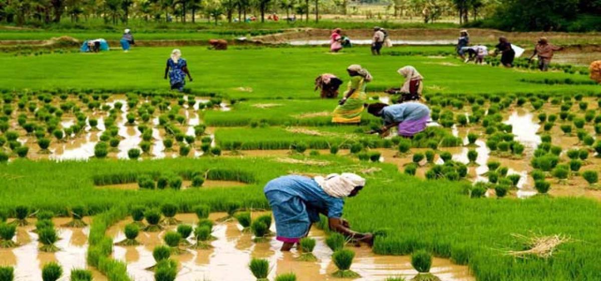 No takers for agriculture among youth
