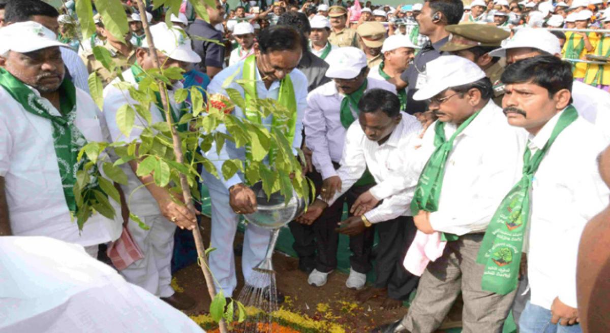 Why Haritha Haram is important