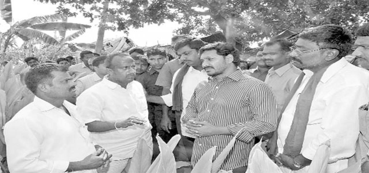 CM forcibly taking away lands from Dalits: Jagan