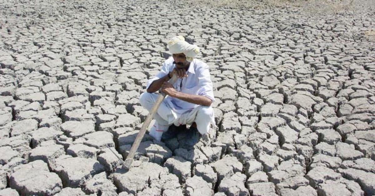 Poor inflows into Tungabhadra dam, crops hit