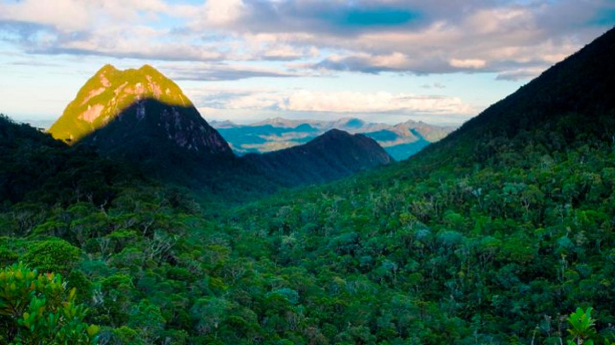 Must visit tourist hotspot in Madagascar: Lemurs park