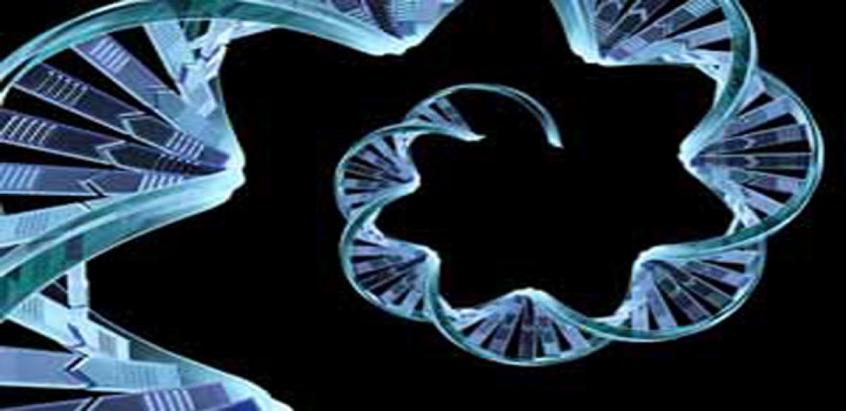 New technology enables interpretation of human genome