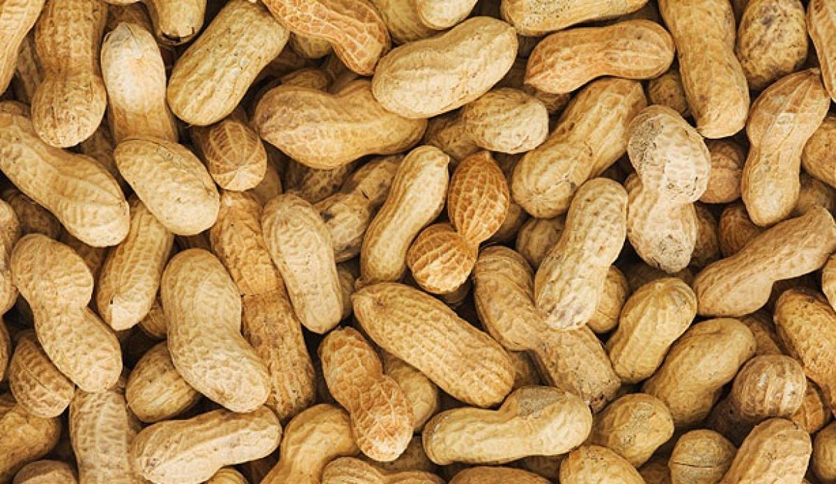 Indulge in peanuts, peanut butter for good health