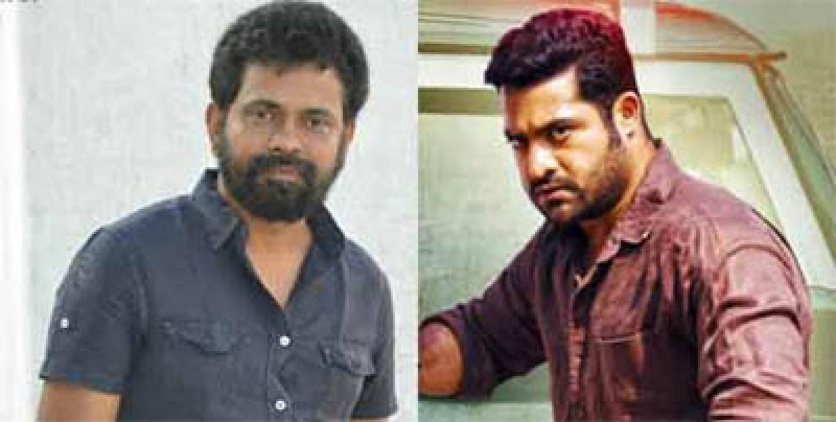 Sukumar to release NTR movie still on Independence Day