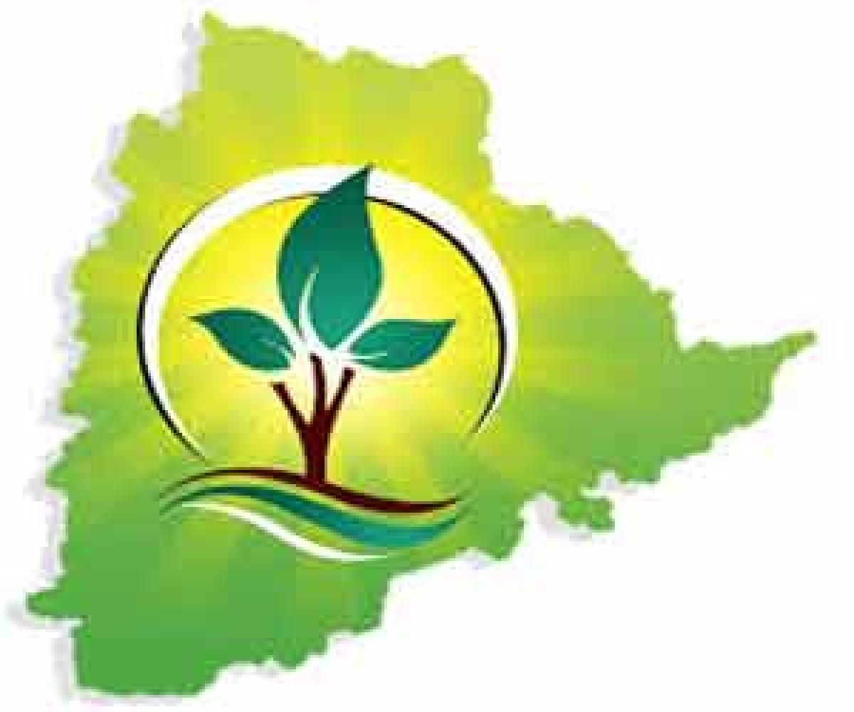 Haritha Haram fails to take off in Mahbubnagar