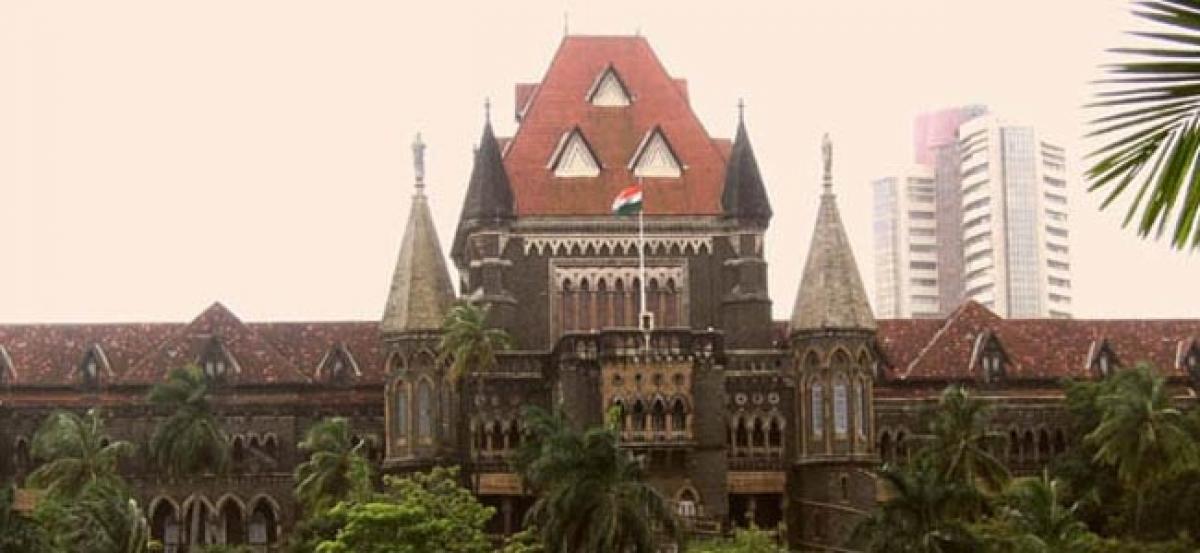 High Court wants more independent members on Maha govts water panel