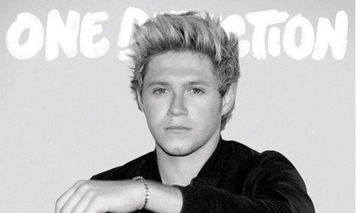 Niall Horan on 1D reunion says he does not know a fixed date