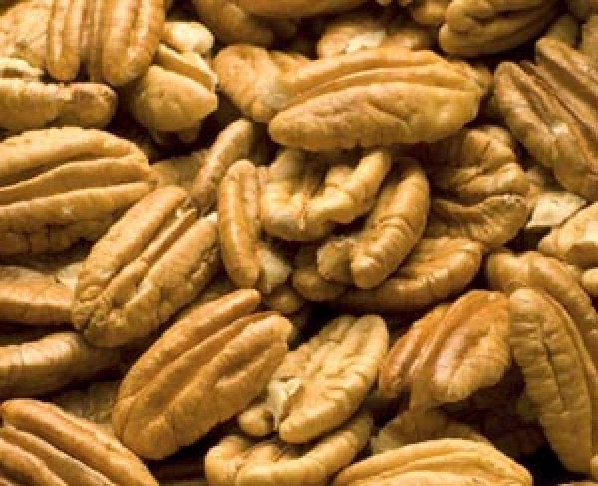 US pecan nuts launched in Hyd