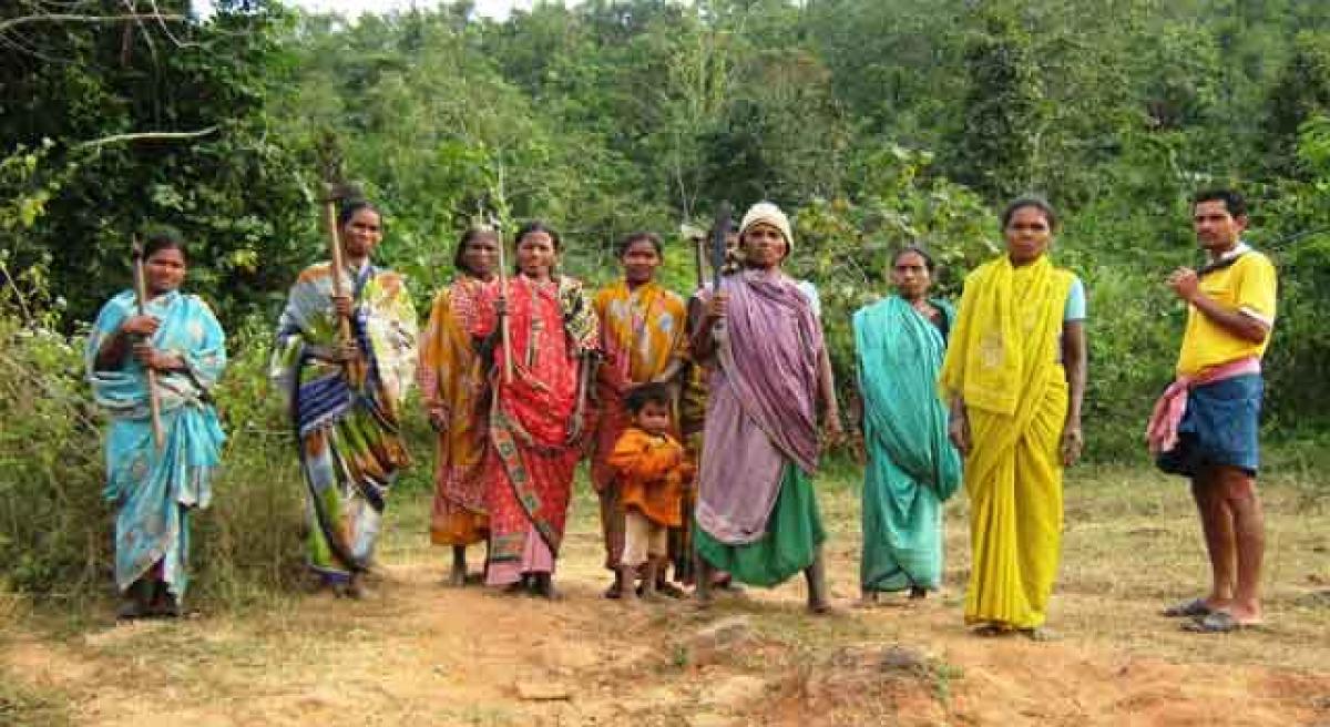 Tribal women protect forest
