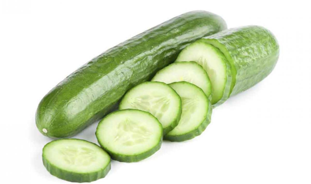 Cucumber, a coolant veggie