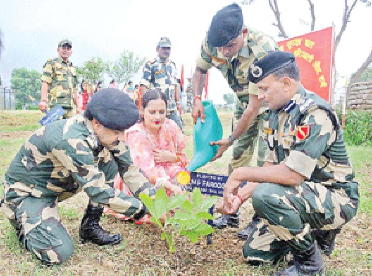 BSF plants 4 lakh saplings in a day