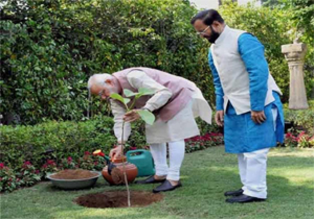 On World Environment Day, PM asks people to protect earth