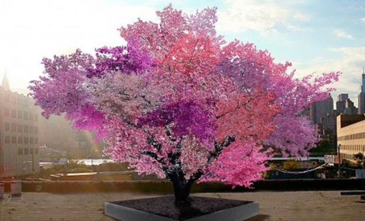 A tree that bears 40 different types of fruits