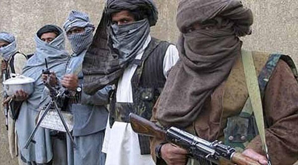 Pak harbouring terrorists in Afghanistan: US intel official