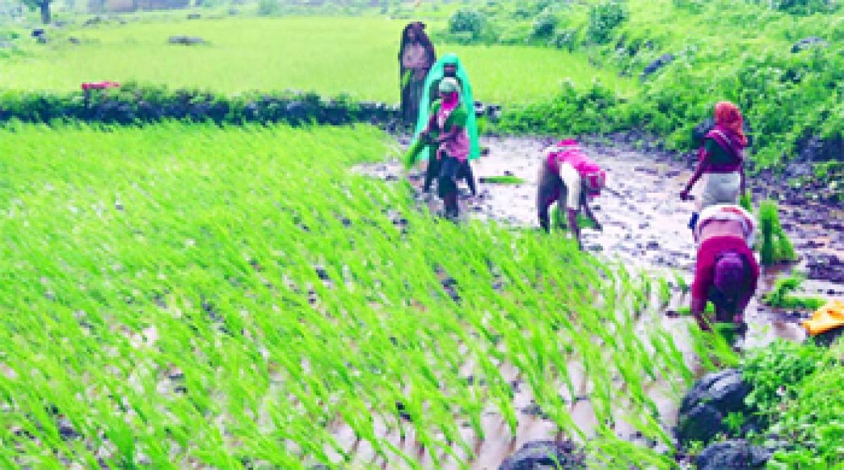 Doubling income of farmers no mean feat 