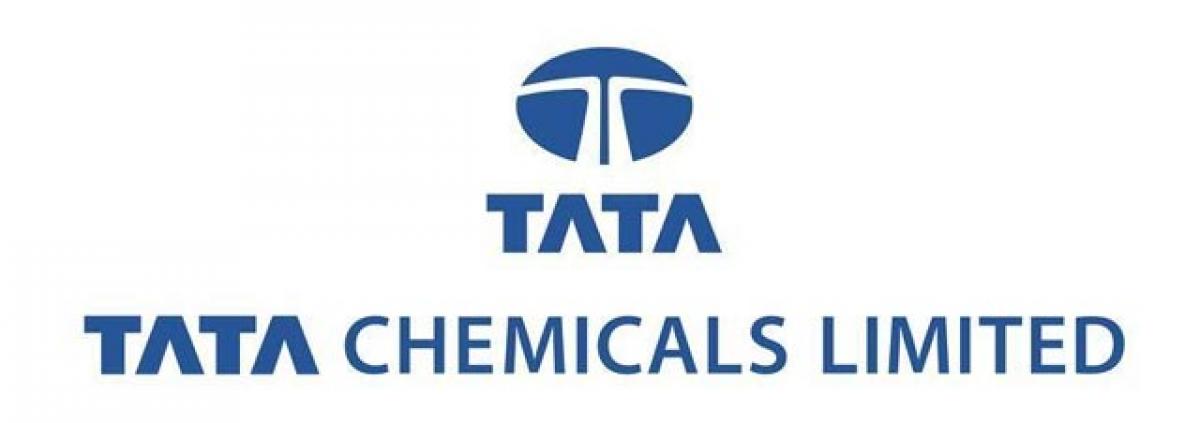 Tata Chemicals mulls 250-cr investment in AP