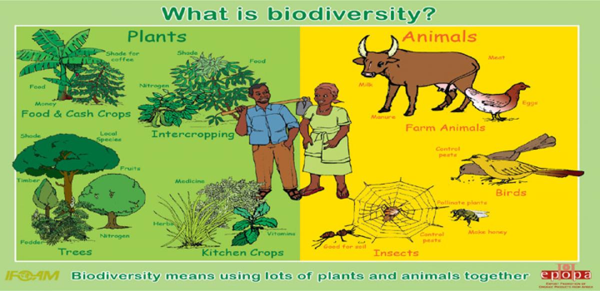 Environmental issues in India Biodiversity