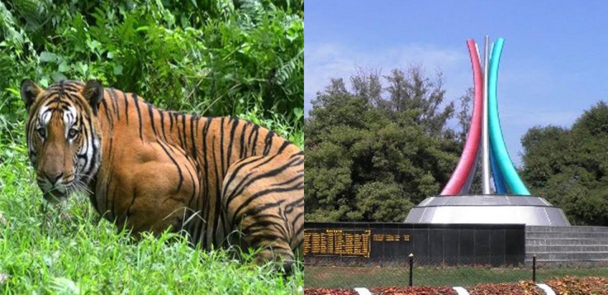 Munni Royal Bengal Tiger dies at zoo