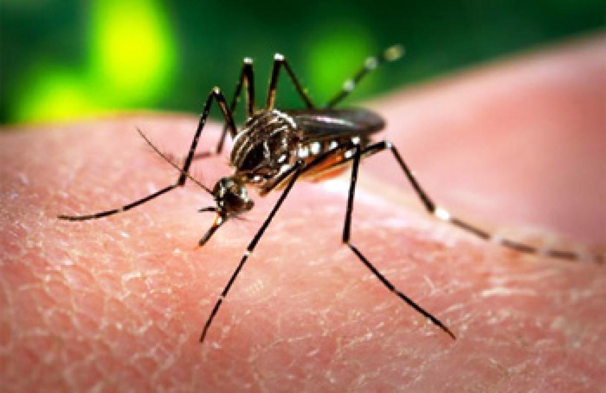 State yet to gear up to tackle Zika virus