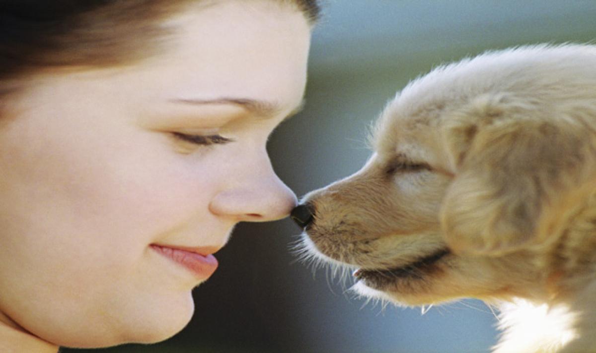 Human sense of smell as good as that of dogs: Study