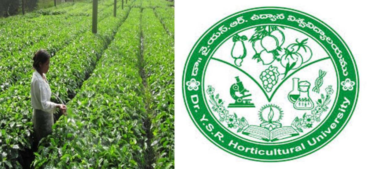 Nursery farmers assured of more sops to export plants