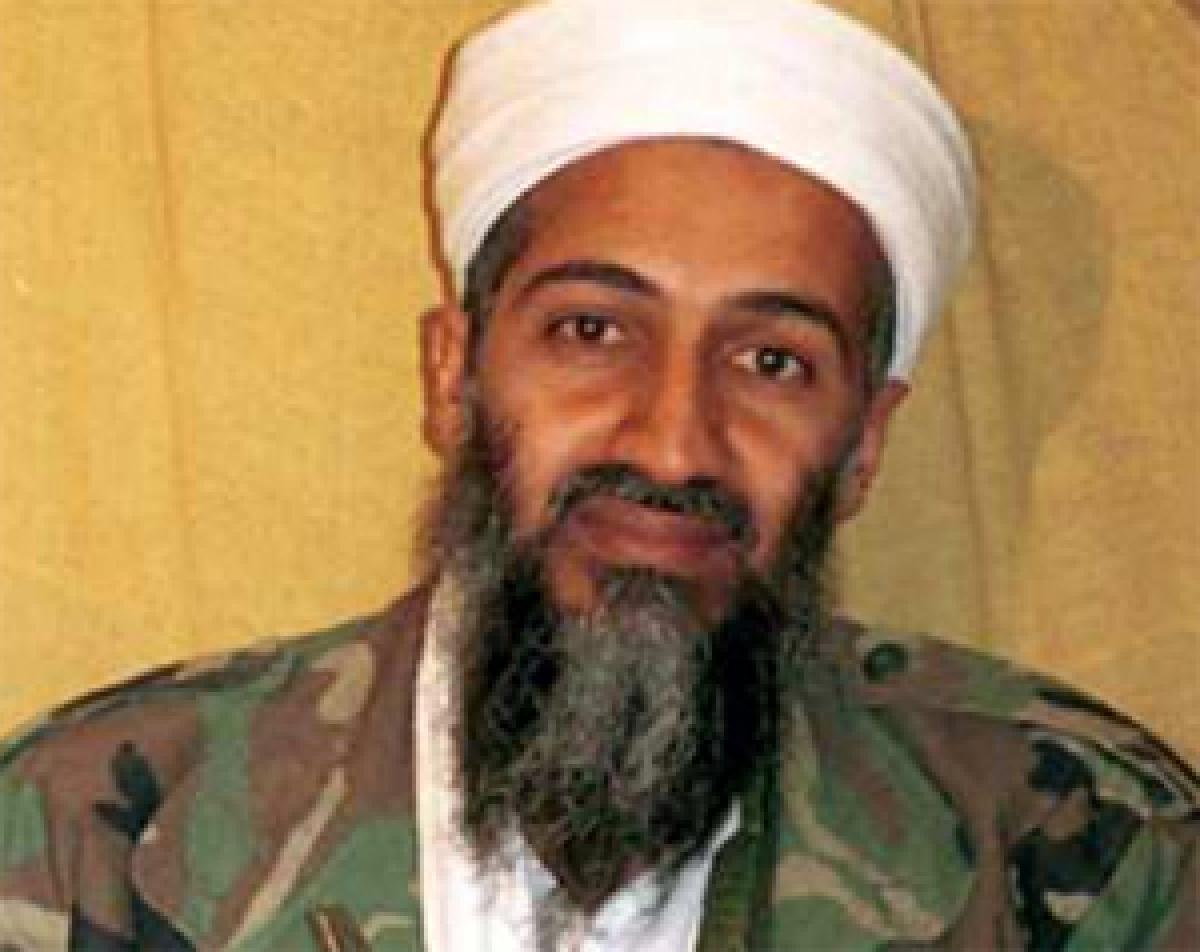 Private jet crash in Britain kills Osama kin