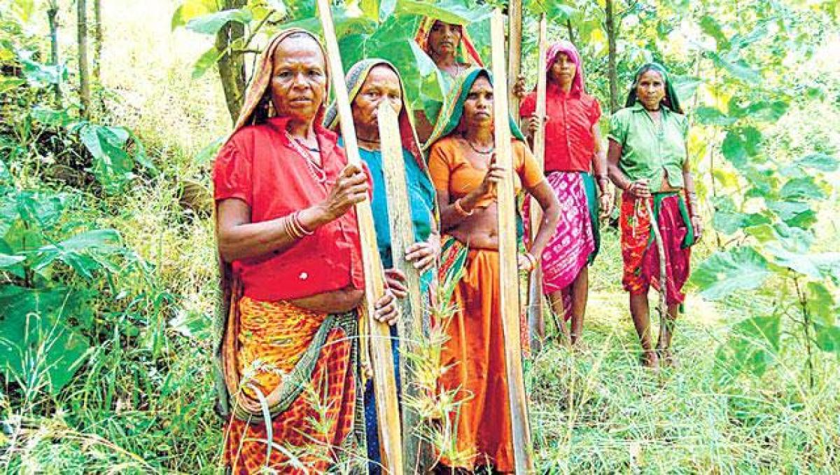 Brutal suppression of tribal rights in Andhra Pradesh