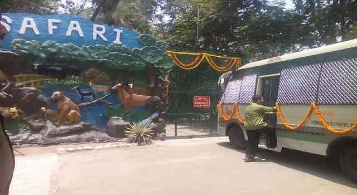 nehru zoological park safari videos