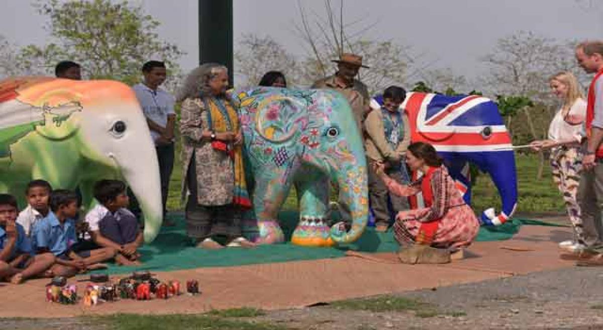 Royal family joins hands with Elephant Family