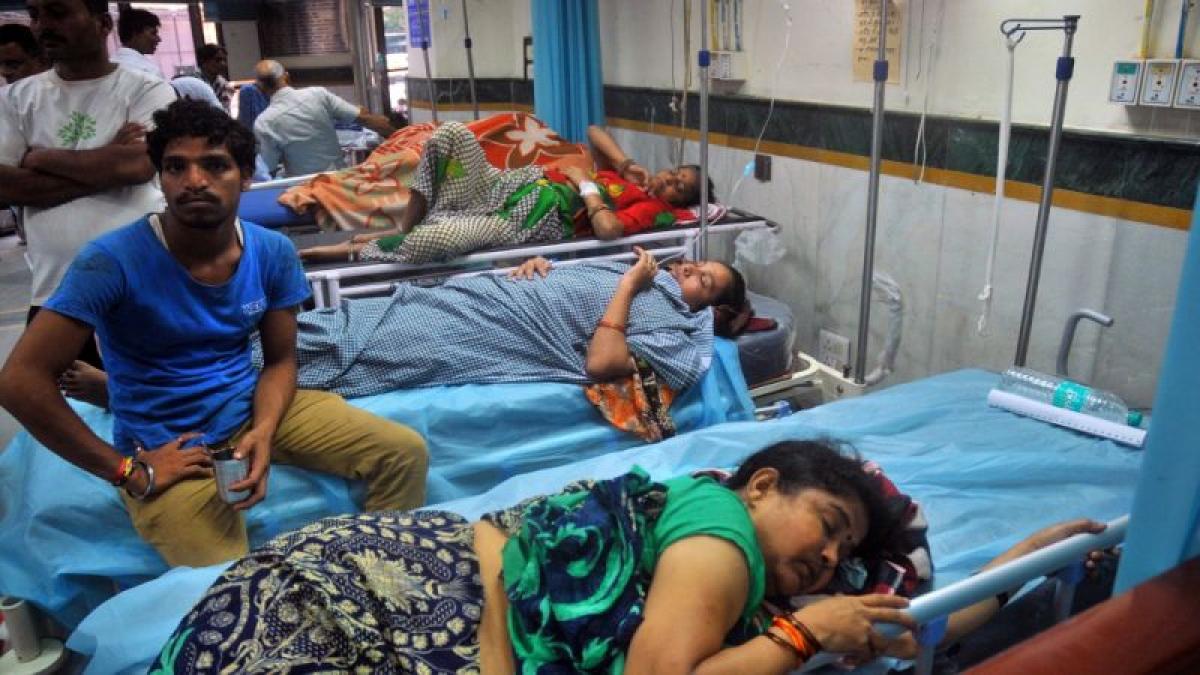79 Chikungunya, 24 dengue cases in Delhi in 2017