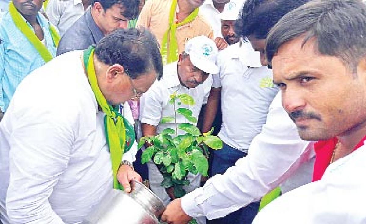 Hans India-HMTV green drive begins