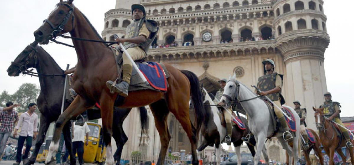Mounted police to trot Warangal roads soon