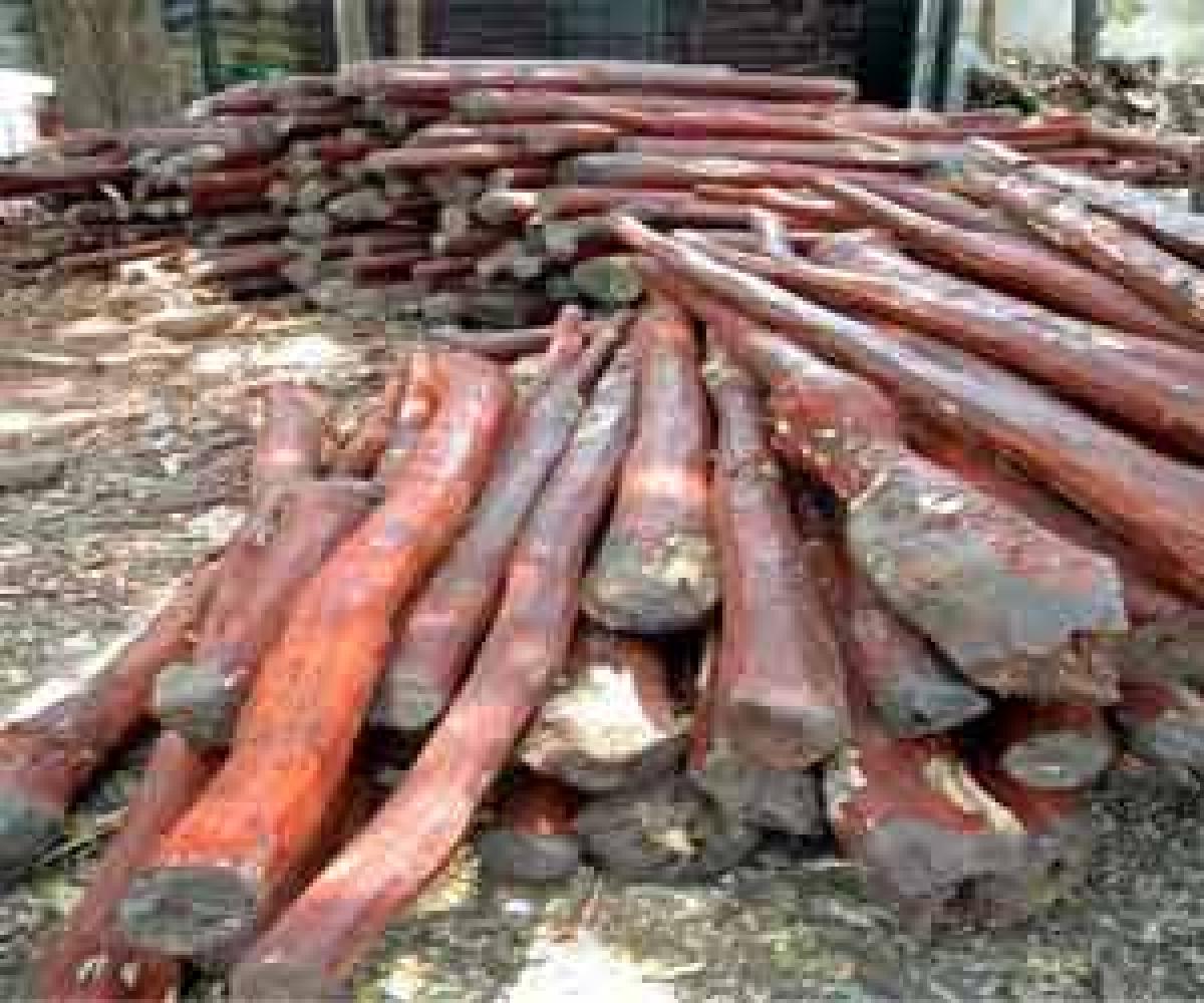 15 red sanders smugglers held